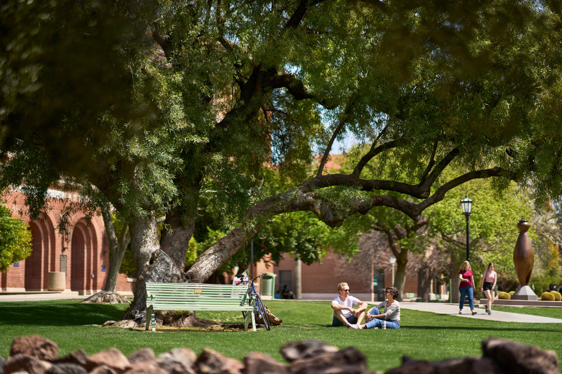 Two students sitting on the UArizona lawn